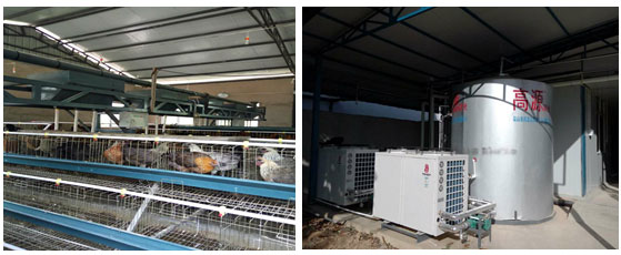 养鸡场采用同益空气能成功解决鸡舍供暖难题