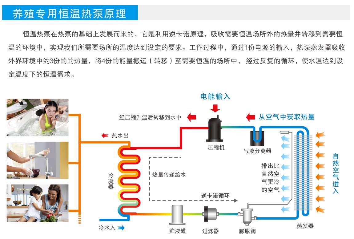 养殖恒温热泵工作原理