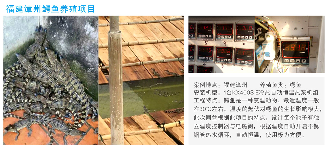热泵恒温案例