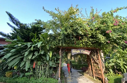 同益品质,再续尼泊尔信赖新篇:Jungle Crown与Yatra Sauraha酒店的温暖守护